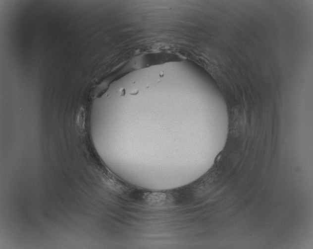 X0000073420230200608181129