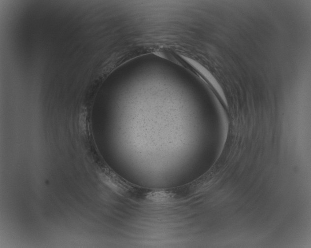 X0000073420231200608181129