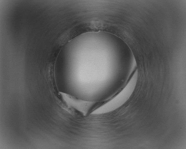 X0000073420233200608181129