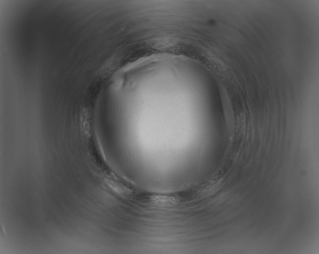 X0000073420234200608181129