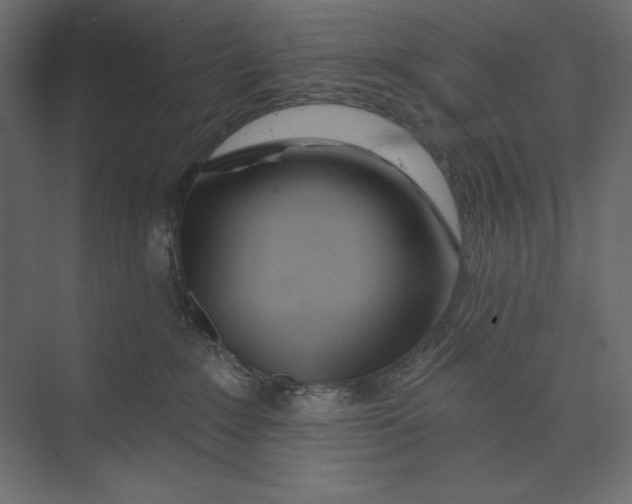 X0000073420235200608181129