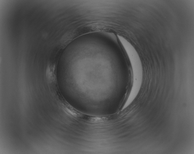 X0000073420239200608181129