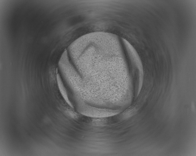 X0000073420240200608181129