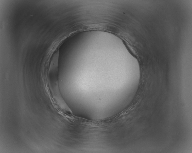 X0000073420241200608181128