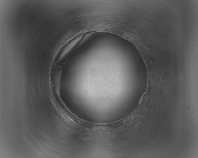 X0000073420242200608181128