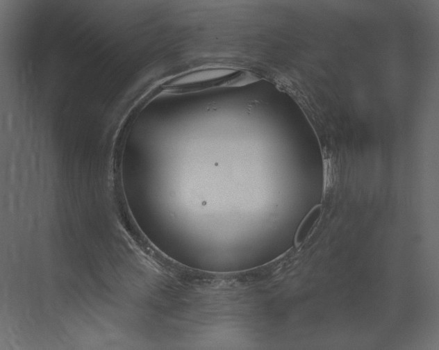 X0000073420243200608181128