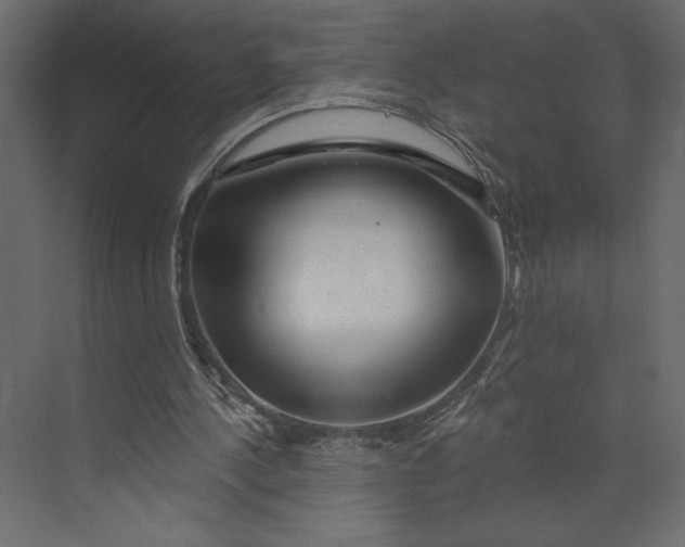 X0000073420244200608181128