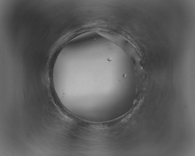 X0000073420245200608181128