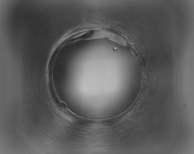 X0000073420246200608181128