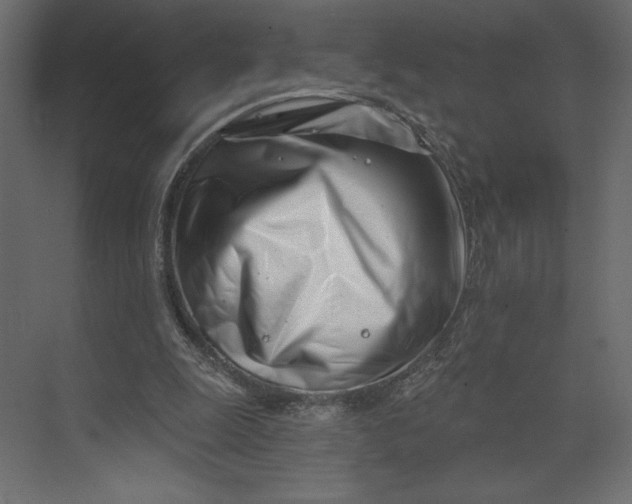 X0000073420247200608181128