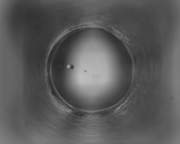 X0000073420248200608181128