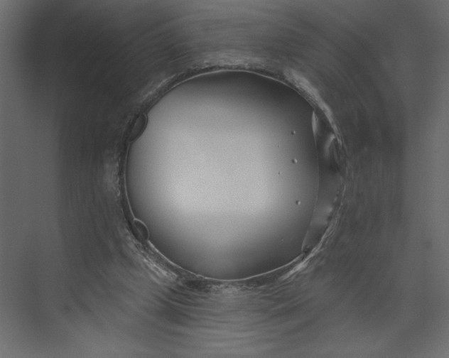 X0000073420249200608181128