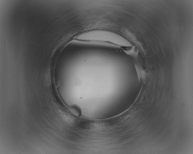 X0000073420250200608181128