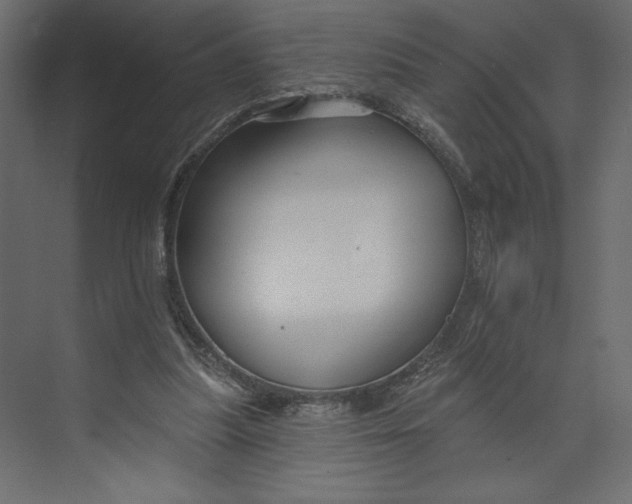 X0000073420251200608181128