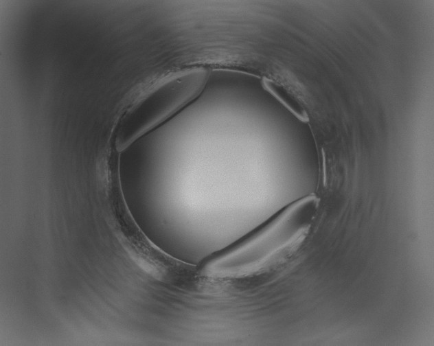 X0000073420252200608181128