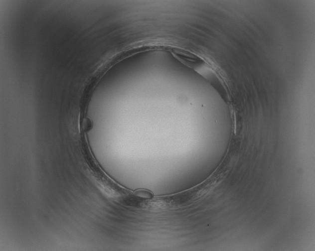 X0000073420253200608181128