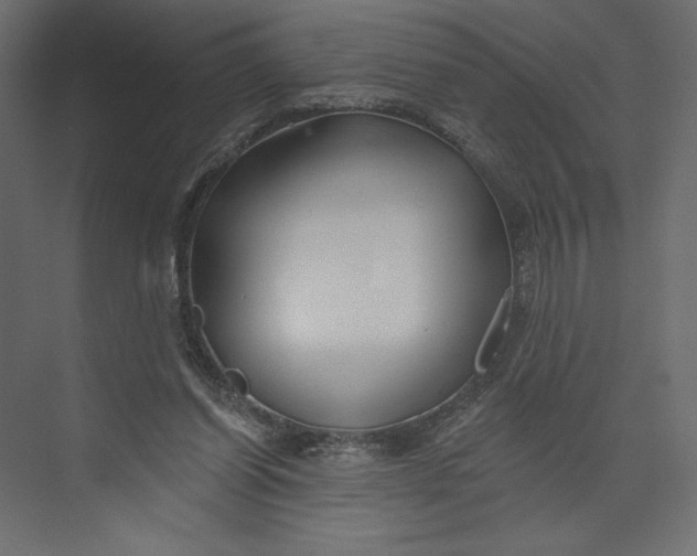 X0000073420254200608181128