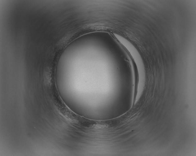 X0000073420255200608181128