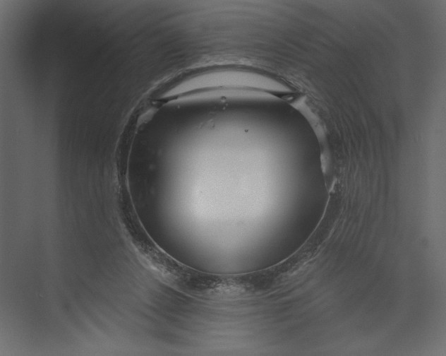 X0000073420256200608181128