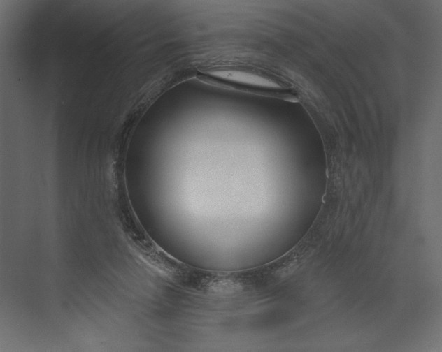 X0000073420258200608181128