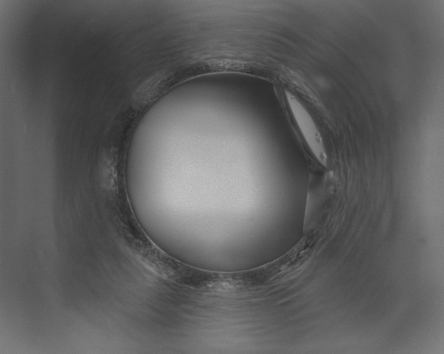 X0000073420259200608181128