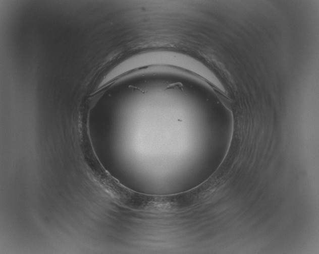 X0000073420260200608181128