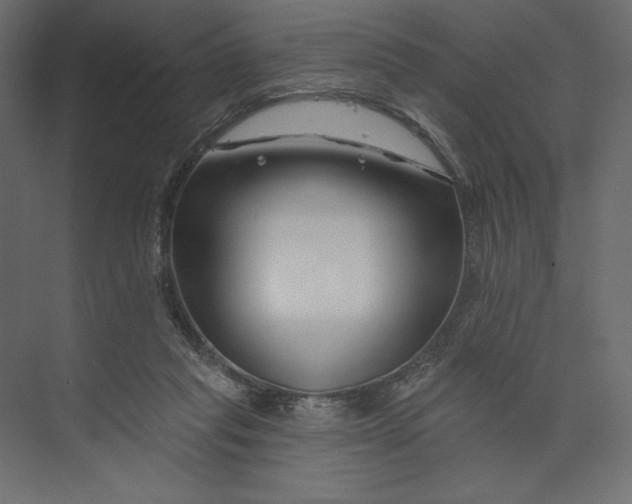 X0000073420261200608181129