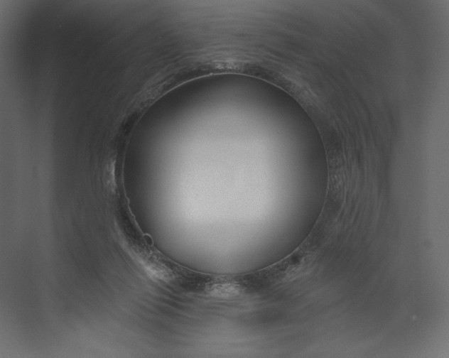 X0000073420262200608181129