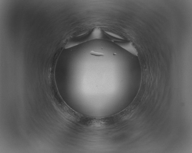 X0000073420263200608181129