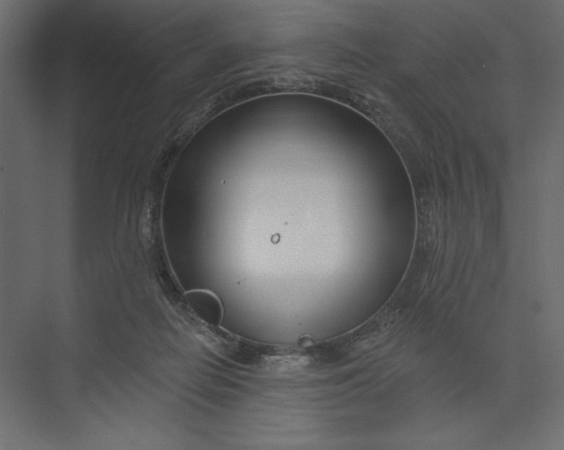 X0000073420266200608181129