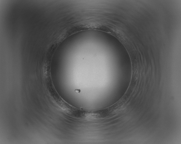 X0000073420268200608181129