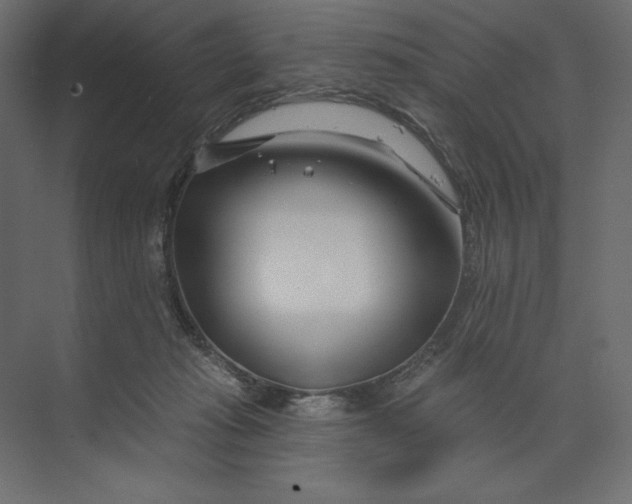 X0000073420269200608181129