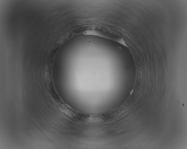 X0000073420270200608181129