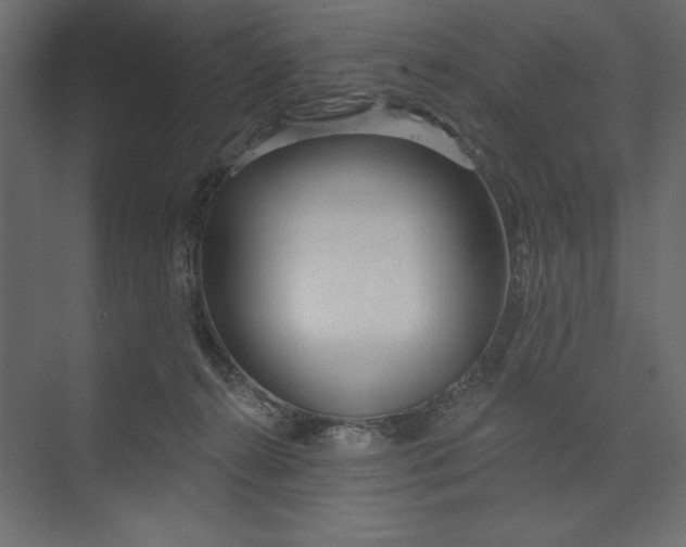 X0000073420272200608181129