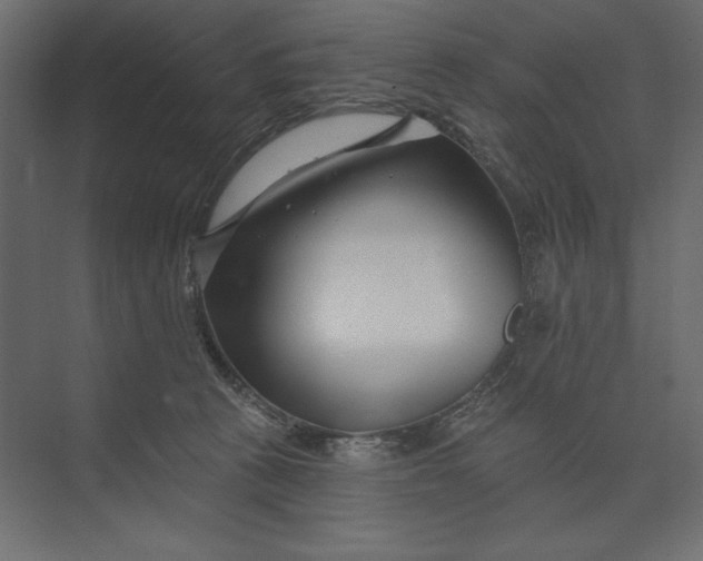 X0000073420273200608181129