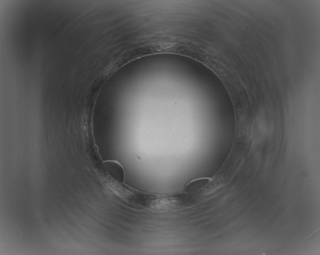 X0000073420274200608181129