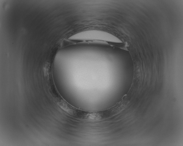 X0000073420275200608181129