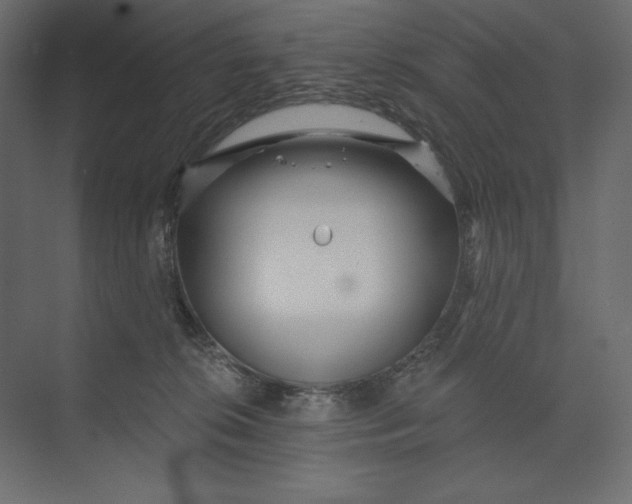 X0000073420276200608181129