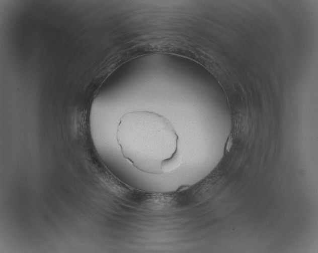 X0000073420278200608181129