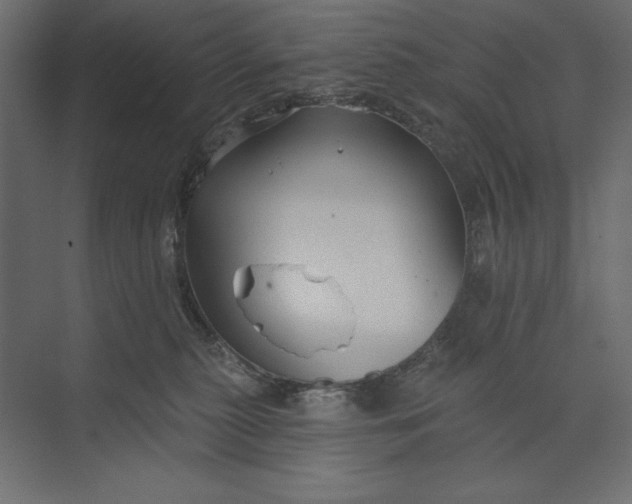 X0000073420279200608181129