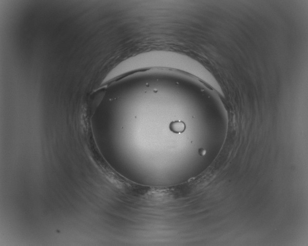 X0000073420280200608181129