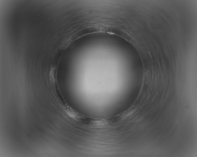 X0000073420286200608181129