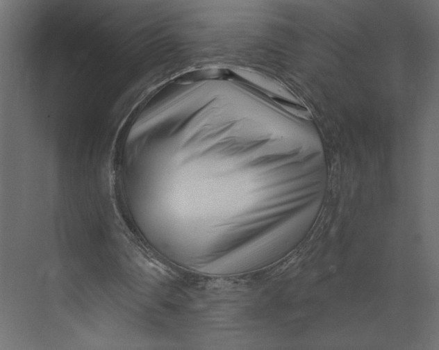 X0000073420290200608181128