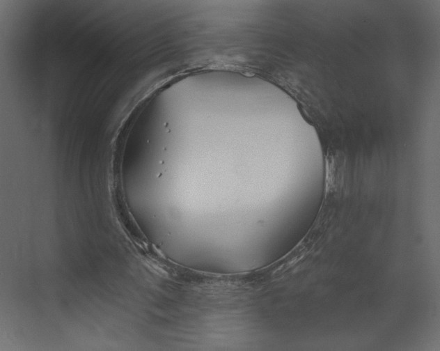 X0000073420291200608181128