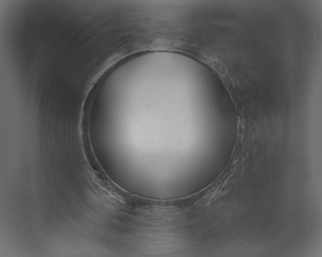 X0000073420292200608181128