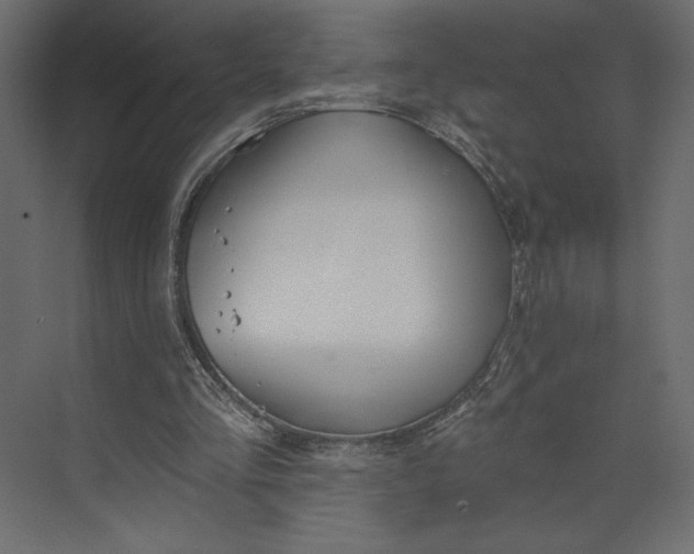 X0000073420293200608181128