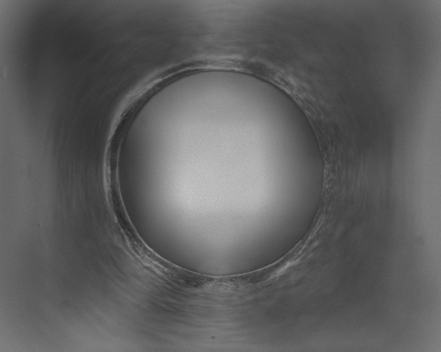 X0000073420294200608181128