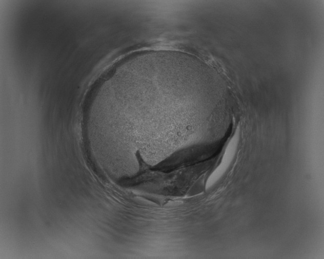 X0000073420295200608181128