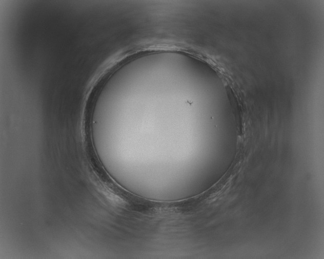 X0000073420296200608181128