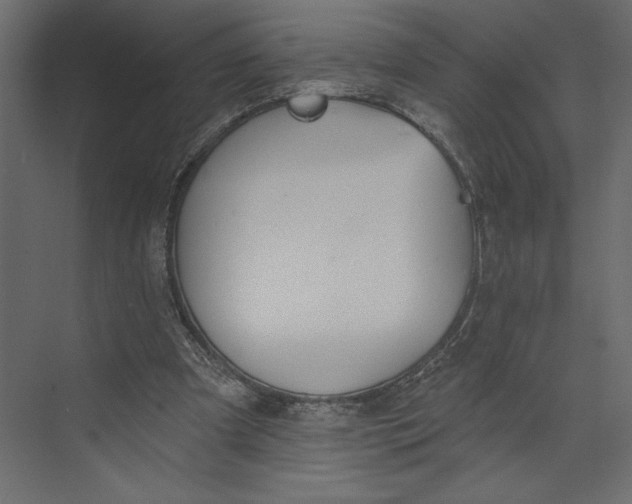 X0000073420297200608181128